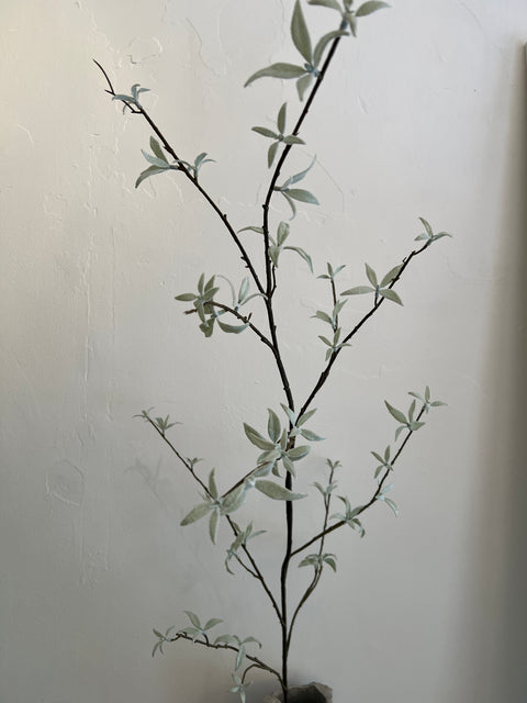 Blad tak grijs/groen  160 cm