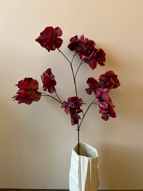 Hortensia wild spray bordeaux 85 cm