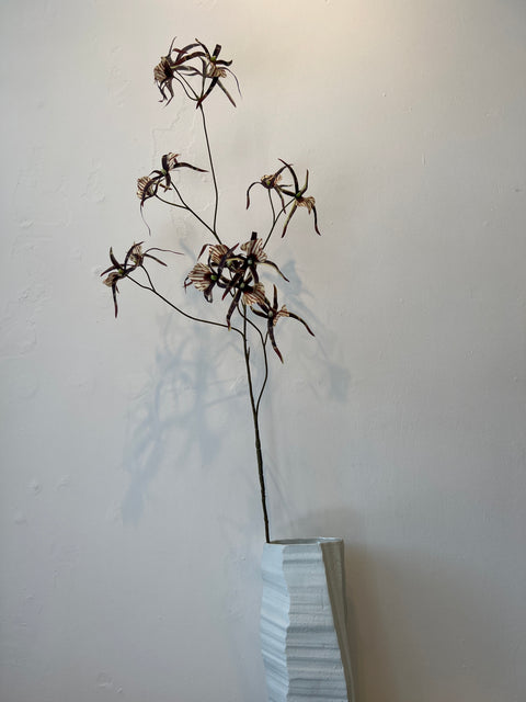 Orchidee spider bruin  111 cm
