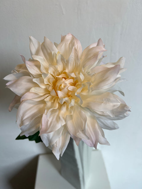 Dahlia cream/pink 60 cm