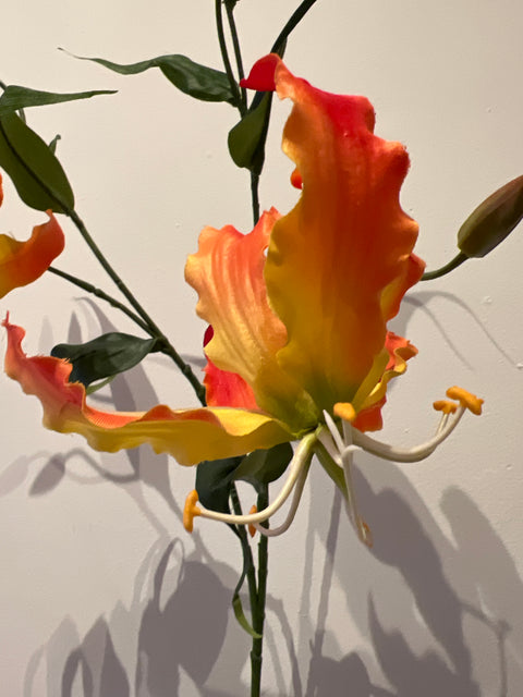 Gloriosa spray oranje  92 cm