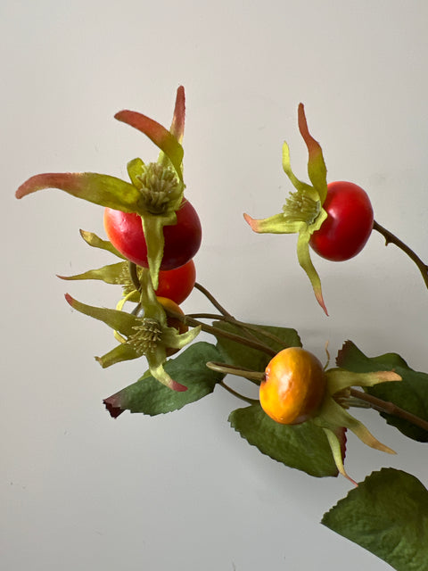 Rozenbottel tak 60 cm oranje/geel ronde bottels