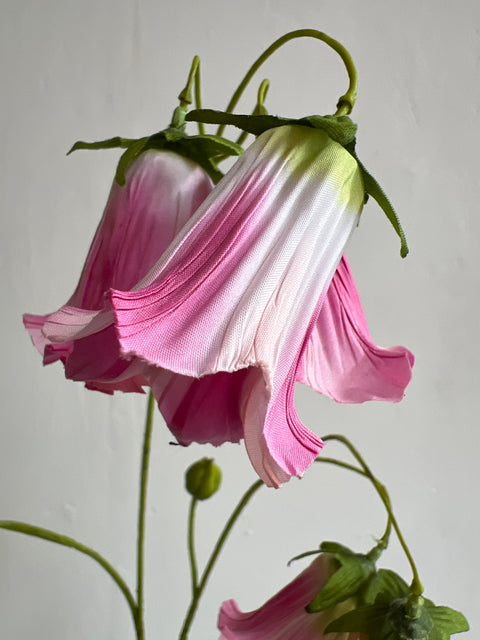 Cobea tak 110 cm beauty