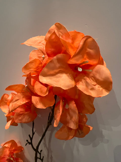 Bougainville tak oranje  104 cm