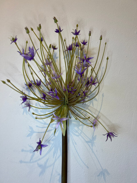 Allium spray lila 105 cm