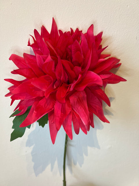 Dahlia bloem 75 cm beauty