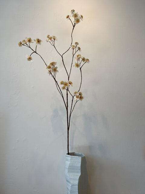 Zeeuws knoopje groot crème 119 cm