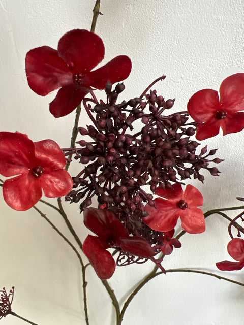Hortensia tak bordeaux  115 cm