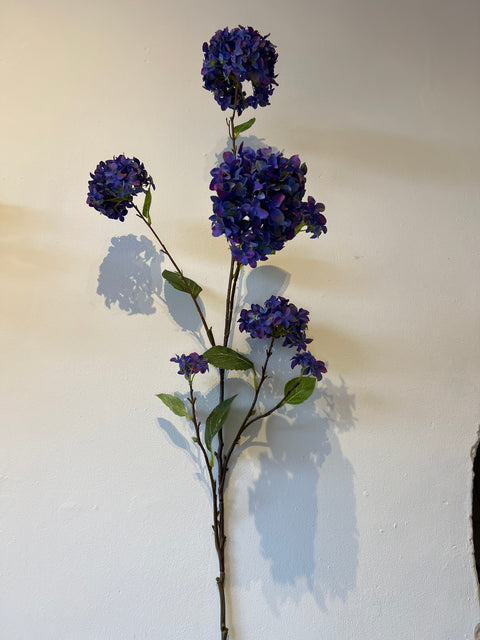 Hortensia tak x7  127 cm blauw