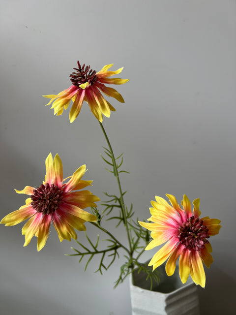Rudbeckia tak geel 68 cm