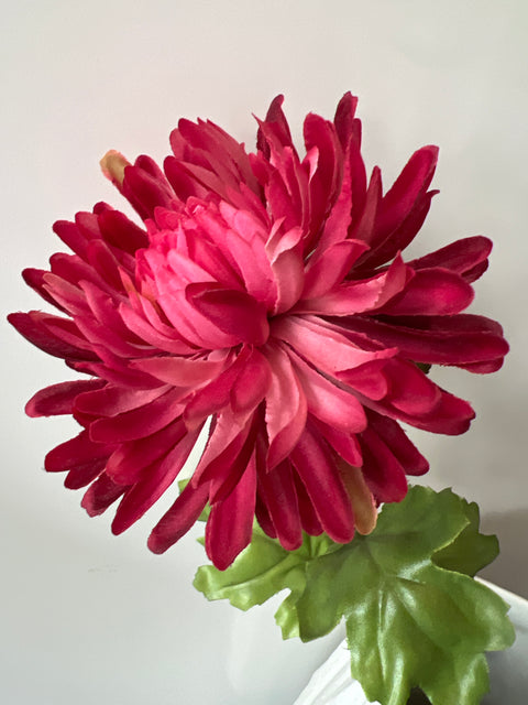 Chrysant  donker rood  60 cm