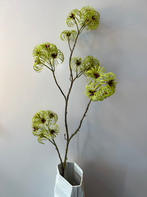 Clematis tak groen  103 cm