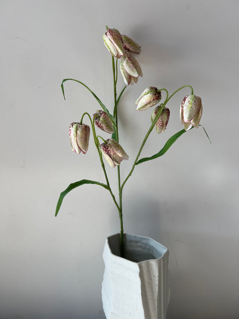 Fritillaria creme/groen 70 cm