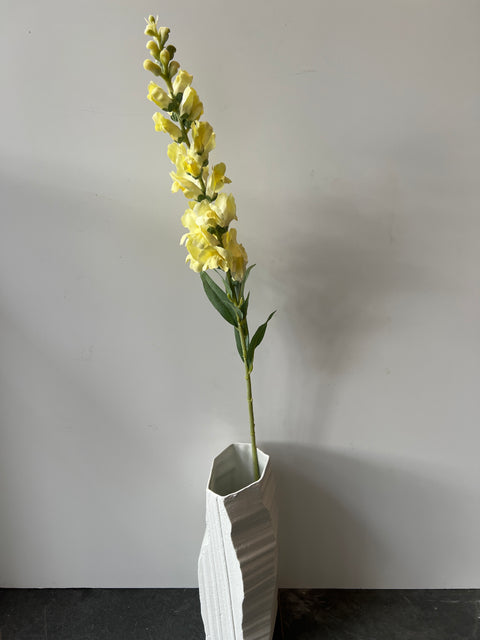 Leeuwenbek geel 93 cm