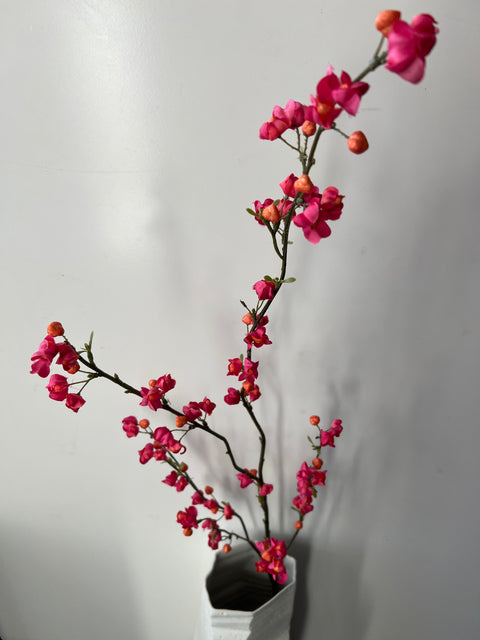 Kardinaalsmuts roze/oranje  115 cm