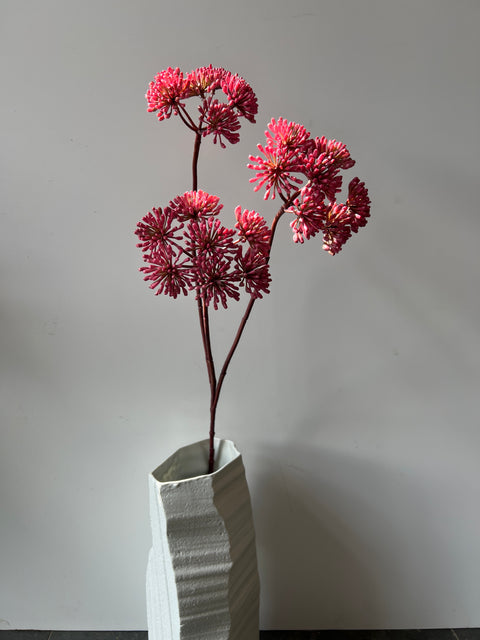Engelwortel tak 3x magenta  83 cm