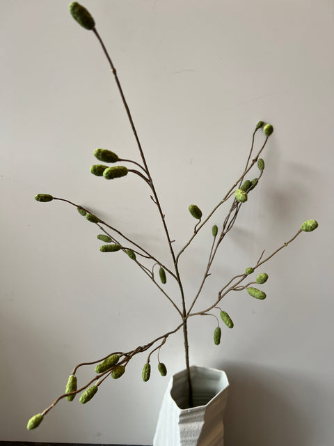 Pimpernel tak 100 cm  groen