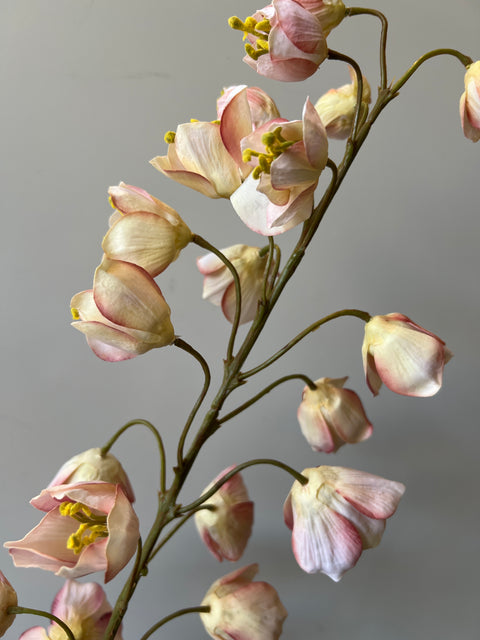 Fritilaria steel cream/roze 112 cm