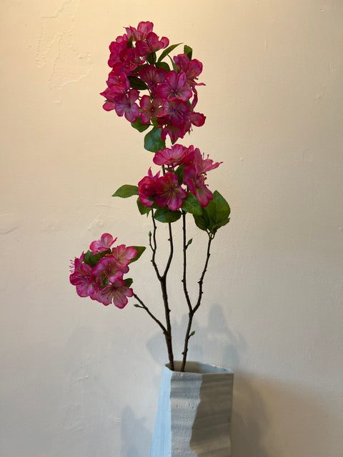 Bloesemtak appel  75 cm beauty