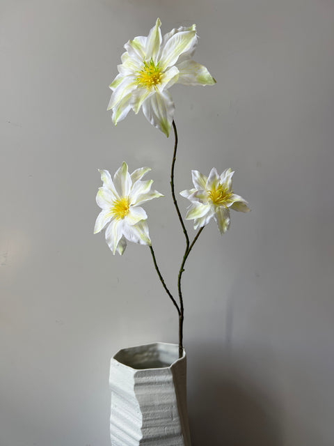 Clematis x3 tak  crème  89 cm