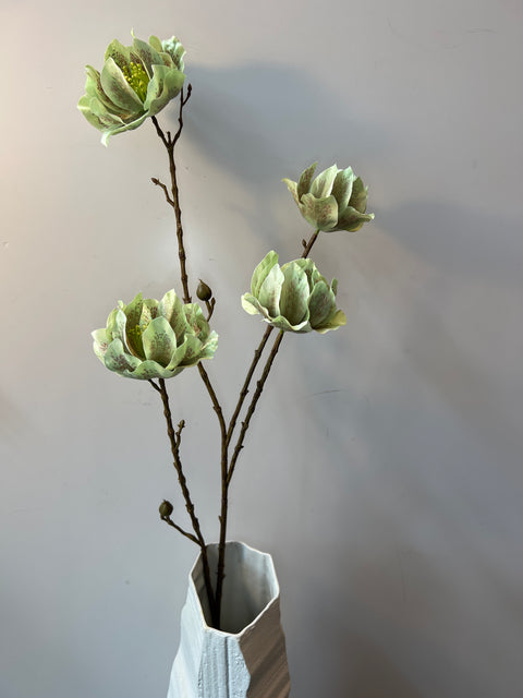 Helleborus tak x4 groen 93 cm