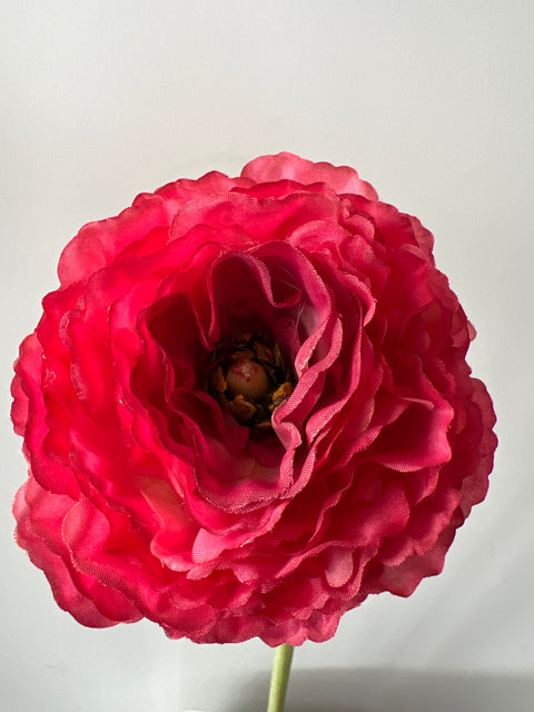 Ranonkel groot 65 cm rood