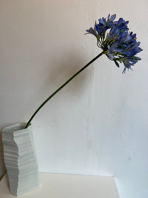 Agapanthus groot blauw  88 cm