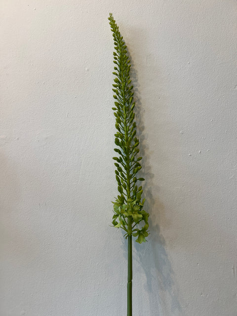 Eremurus steel groen 107 cm