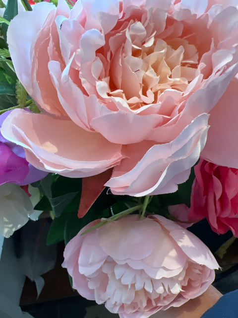 Pioenroos tak x3 crème/roze 70cm