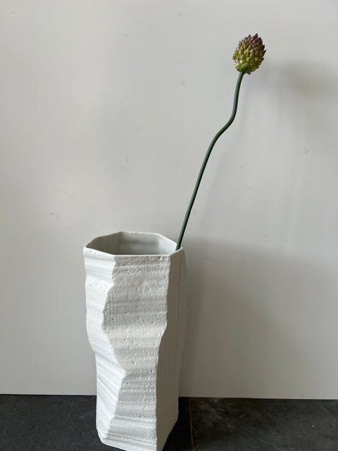 Allium groen/paars 60 cm