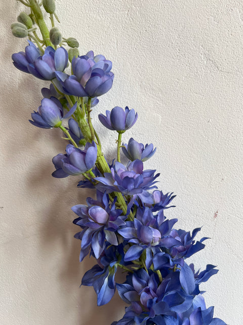 Delphinium lang 135 cm blauw