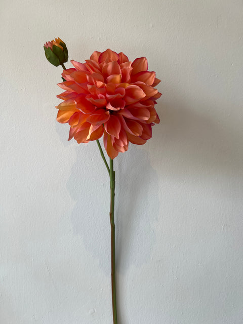 Dahlia bloem + knop koraal 60 cm