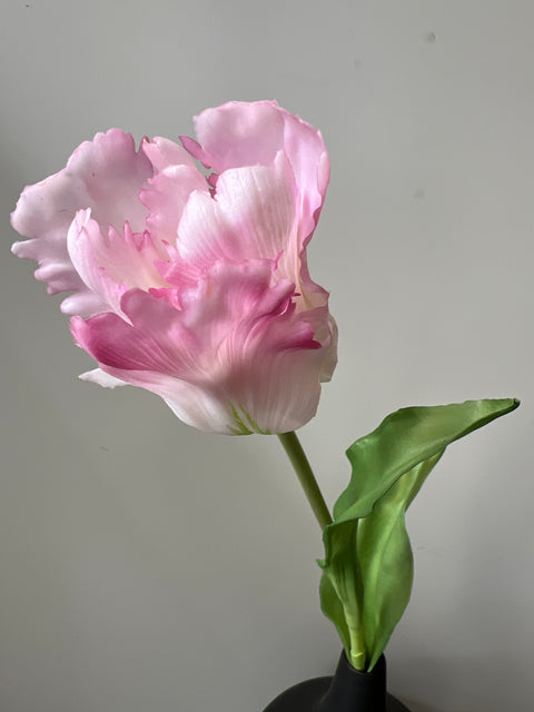 Tulp paris roze/wit 52 cm