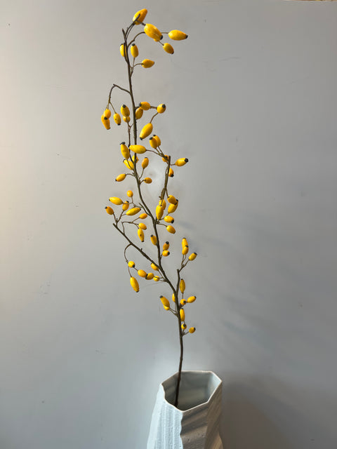 Rozenbottel tak 110cm gele bottels