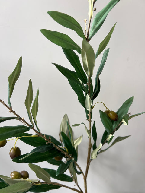Olijf tak groen  101 cm