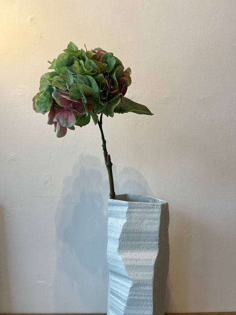 Hortensia bol groen/roze 60 cm