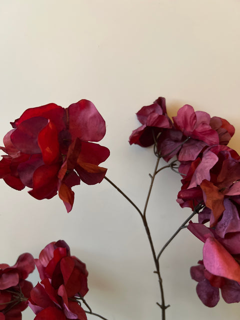 Hortensia wild spray bordeaux 85 cm