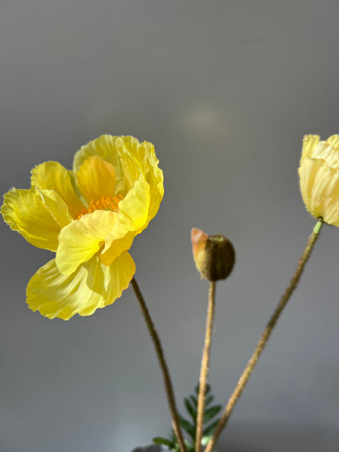 Papaver spray geel  76 cm