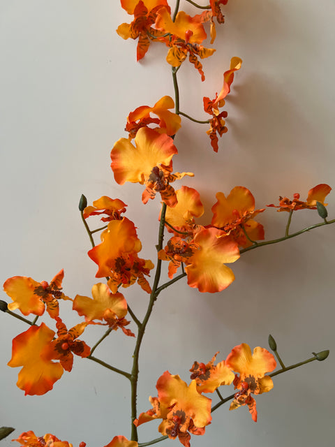 Oncidium  oranje  90 cm