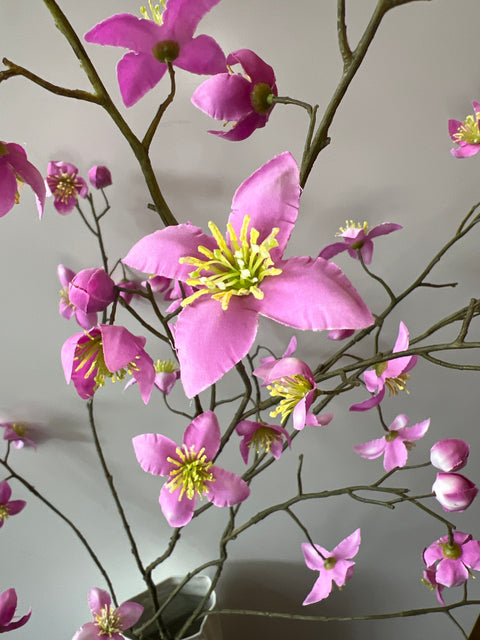 Thalictrum roze 101 cm