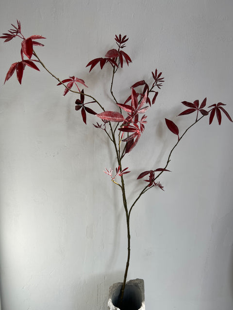 Esdoorn tak bordeaux 126 cm