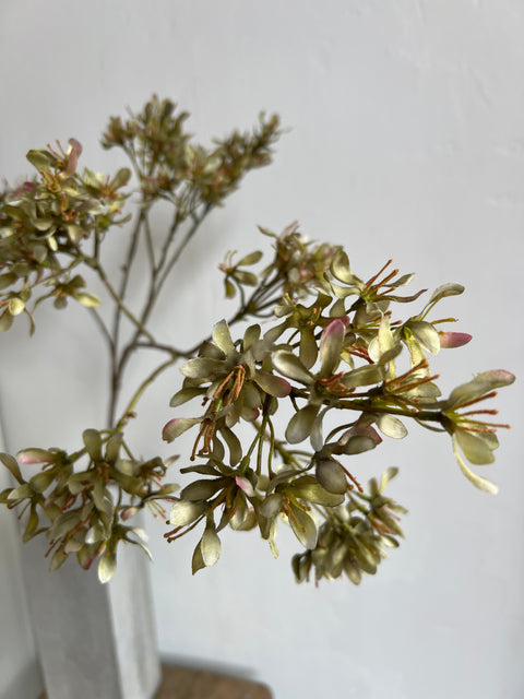 Krententak mini   groen   113 cm