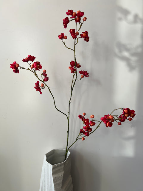 Kardinaalsmuts tak donker rood/oranje  90 cm