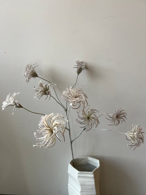 Clematis zaden tak  zilvergrijs 71 cm