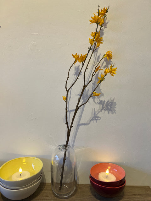 Forsythia tak 70 cm geel