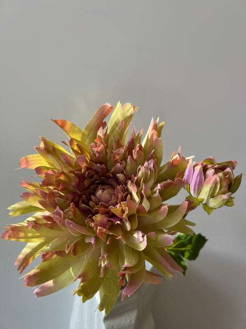 Chrysant  groen/roze  54 cm