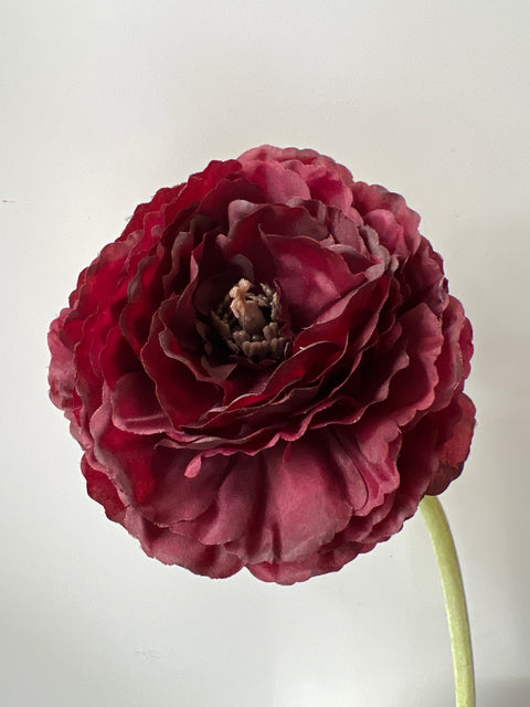 Ranonkel groot 65 cm bordeaux