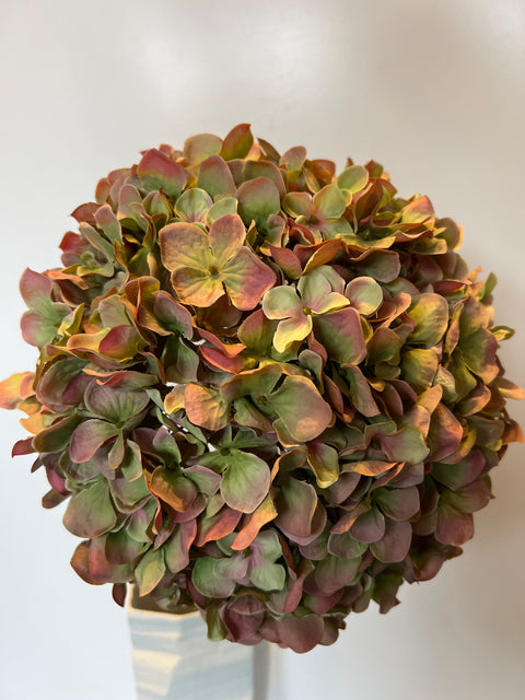 Hortensia bol groen/mauve 79 cm