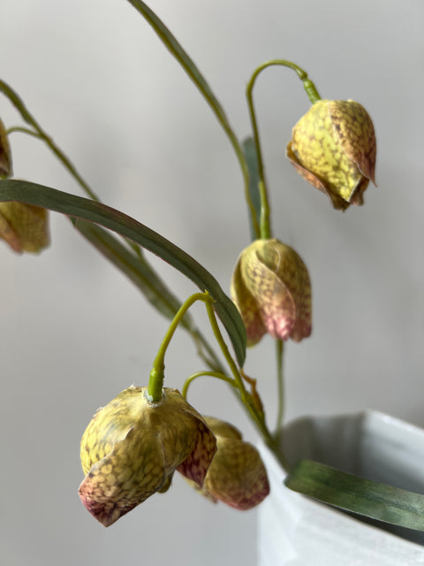 Fritilaria spray x3 groen 58 cm