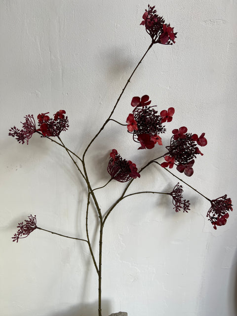 Hortensia tak bordeaux  115 cm